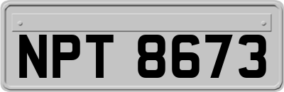 NPT8673