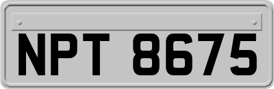 NPT8675