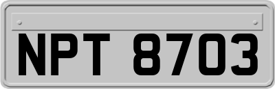NPT8703