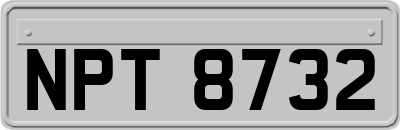 NPT8732