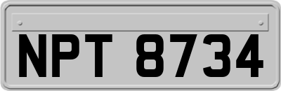 NPT8734