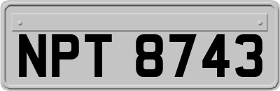 NPT8743