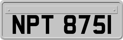 NPT8751