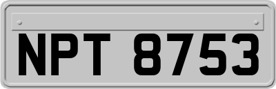 NPT8753