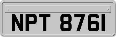 NPT8761