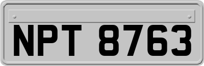 NPT8763