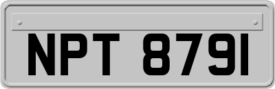 NPT8791