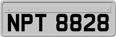 NPT8828