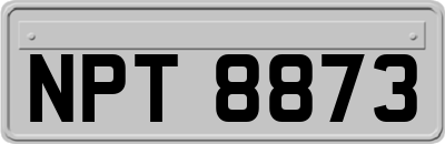 NPT8873