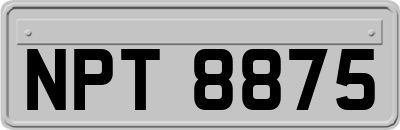 NPT8875