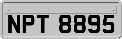 NPT8895