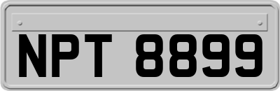 NPT8899