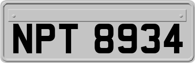 NPT8934