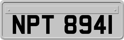 NPT8941