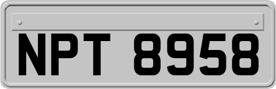 NPT8958