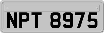 NPT8975