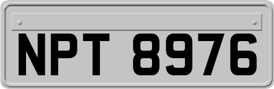 NPT8976