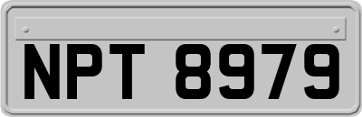 NPT8979