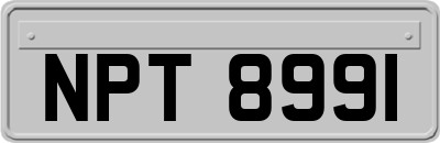 NPT8991