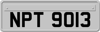 NPT9013
