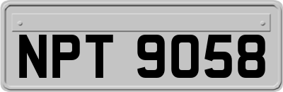 NPT9058