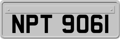 NPT9061