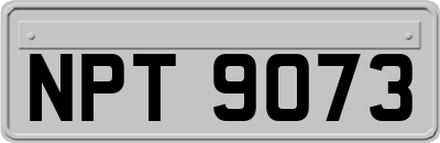 NPT9073