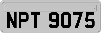 NPT9075