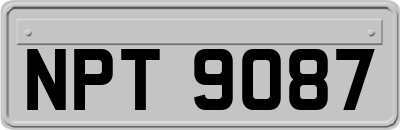 NPT9087