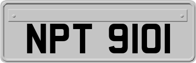 NPT9101