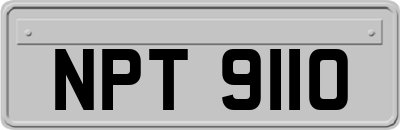 NPT9110