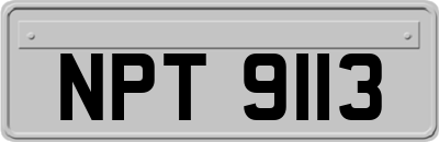 NPT9113