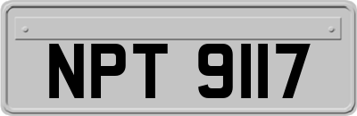 NPT9117
