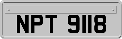 NPT9118