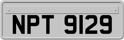 NPT9129
