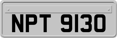 NPT9130