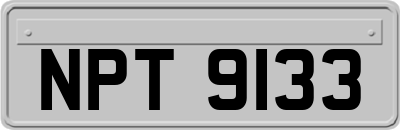 NPT9133