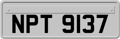 NPT9137