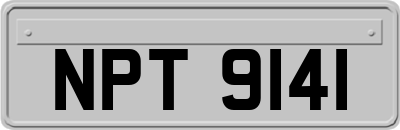 NPT9141