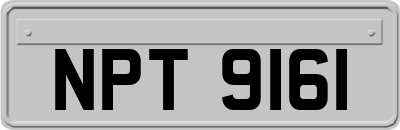 NPT9161