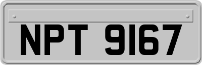 NPT9167