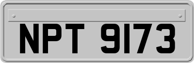 NPT9173