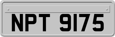NPT9175