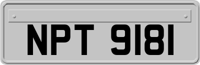 NPT9181