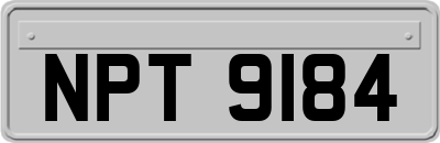 NPT9184