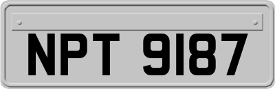 NPT9187