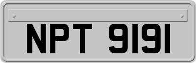 NPT9191