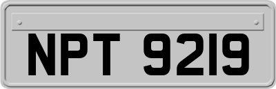 NPT9219