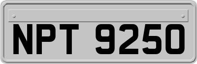 NPT9250