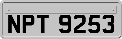 NPT9253